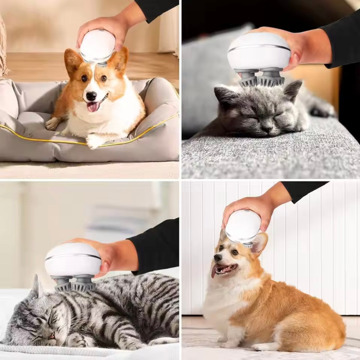 Electric Pet Massager